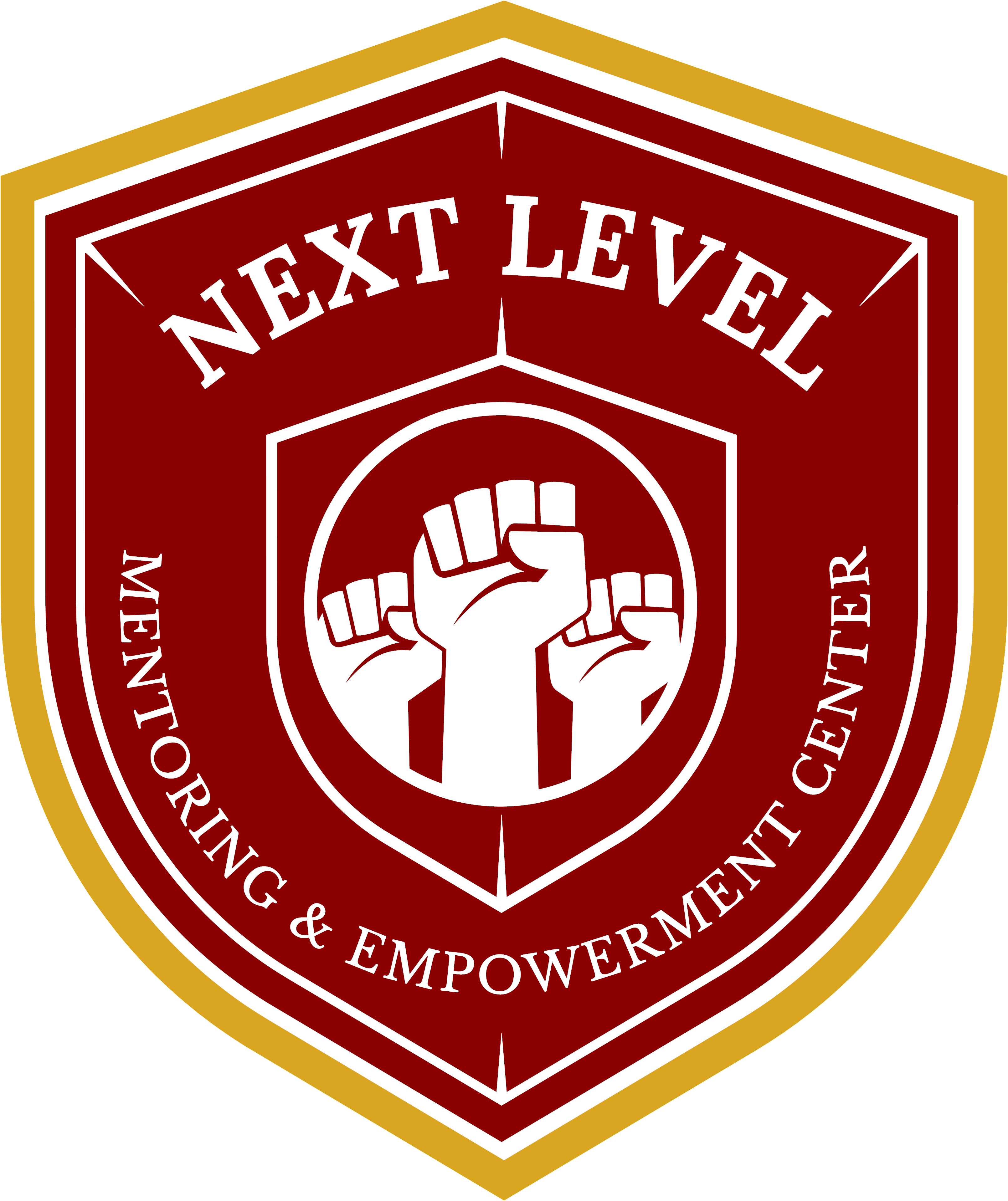 Next Level Boys Academy shield logo